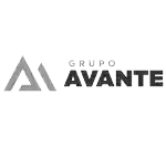 Grupo Avante